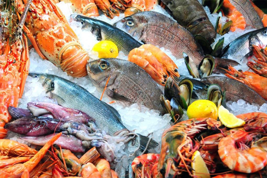 Como escolher frutos do mar: o guia completo