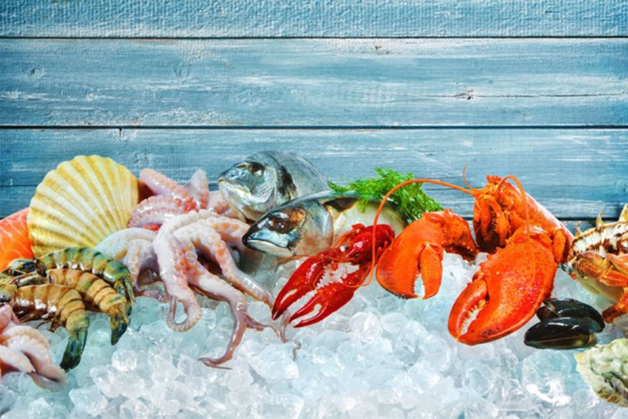 Especial Frutos do mar: conheça os diferentes tipos e confira receitas